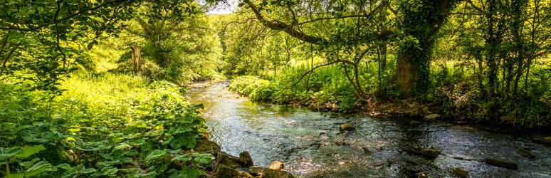 Derbyshire Dales National Nature Reserve, Peak District