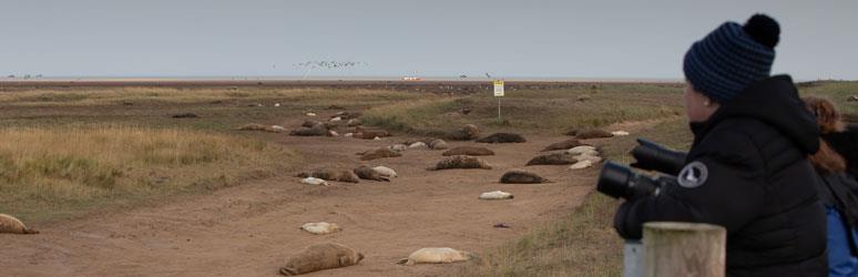 Donna Nook National Nature Reserve, Lincolnshire