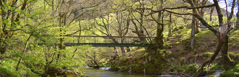 Gilfach Nature Reserve, Wales