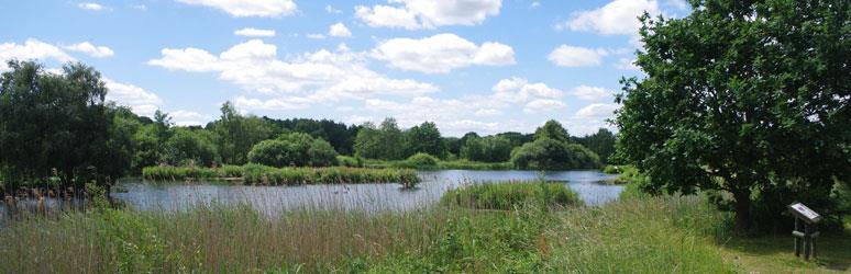 Pensthorpe Natural Park, Norfolk