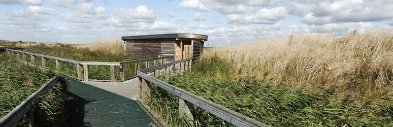 RSPB Rainham Marshes Nature Reserve, Essex