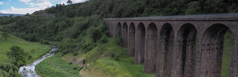 Railway running through the forest