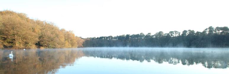 Sutton Park National Nature Reserve, Midlands