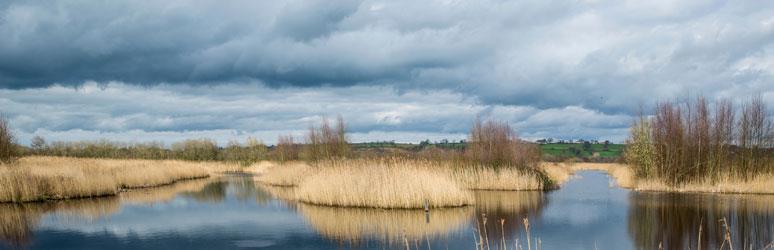 Westhay Moor National Nature Reserve, Somerset