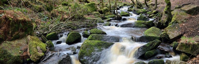 Stream running through rocks