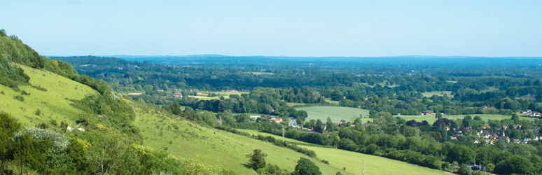 Box Hill, Surrey