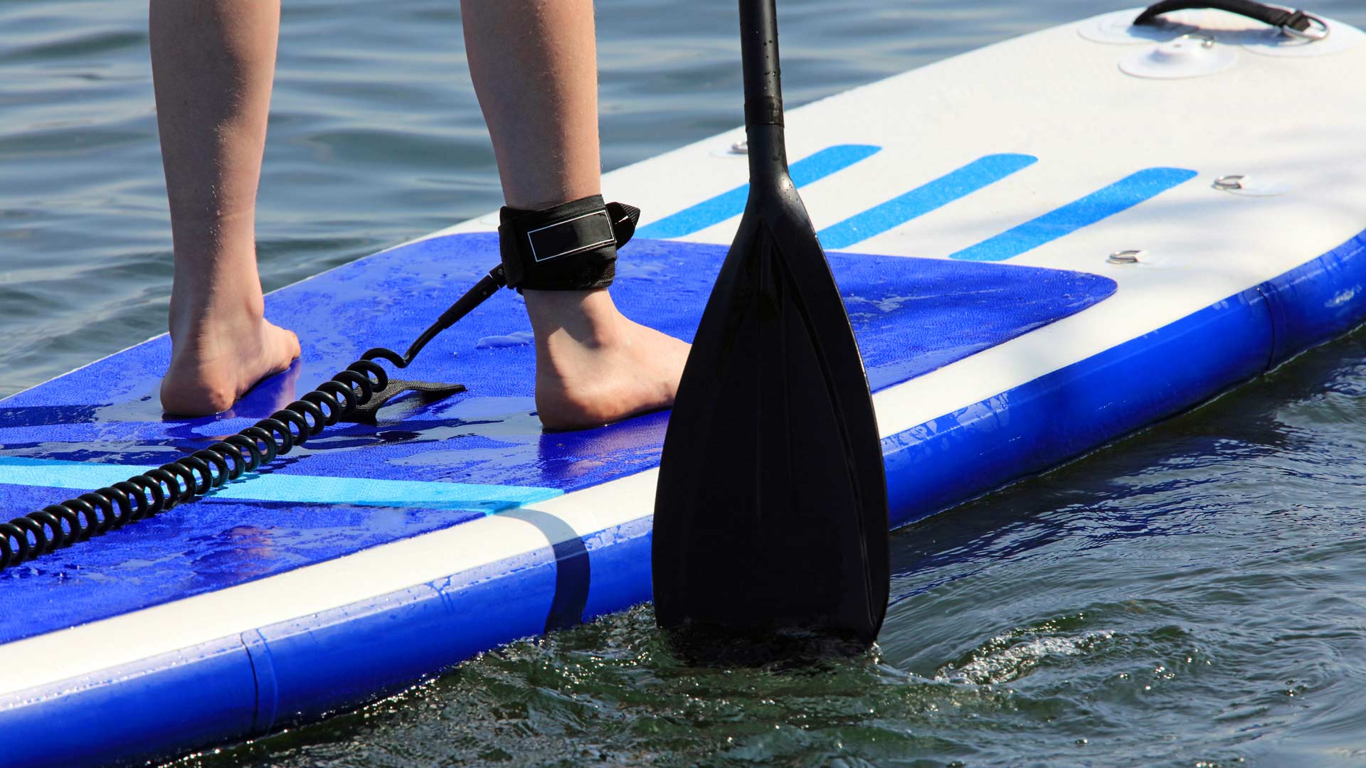 Paddleboard leash