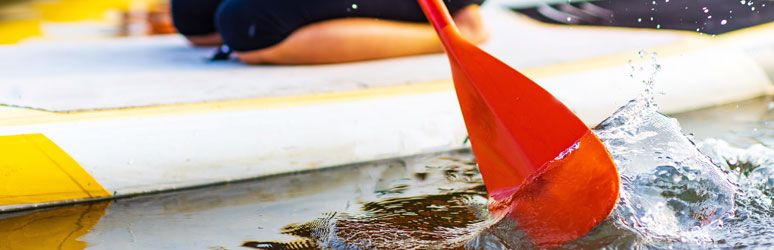 Paddleboard close up