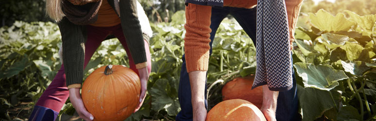 Couple picking pumpkins