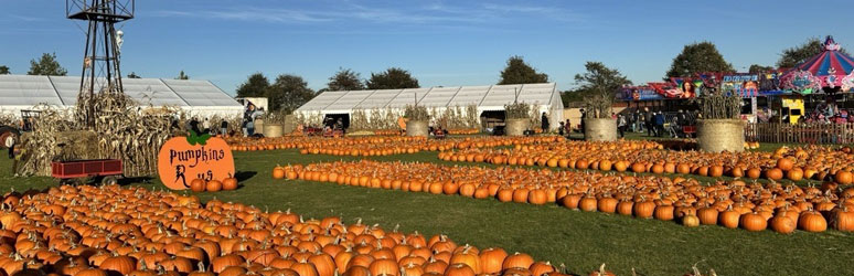 Pumpkins R Us, Kenilworth 