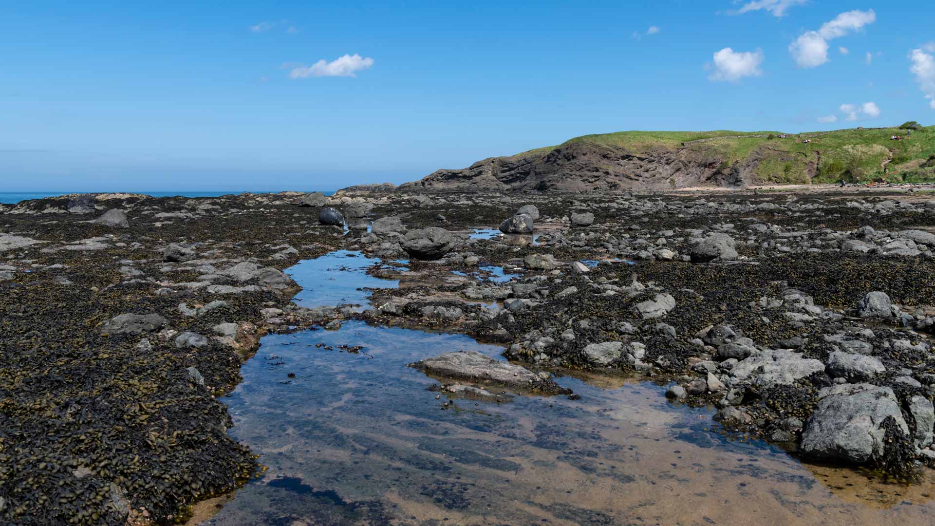 North Berwick Rockpools
