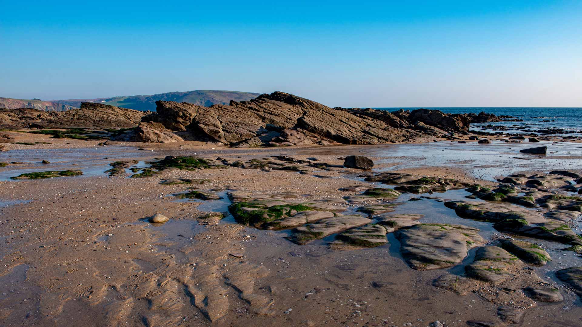 rockpool devon