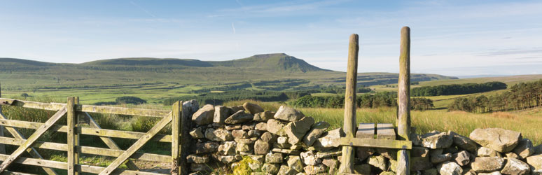 Ingleborough