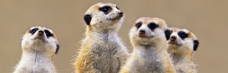12 of the Best Zoos in the UK - The Camping and Caravanning Club 12 of the Best Zoos in the UK - The Camping and Caravanning Club