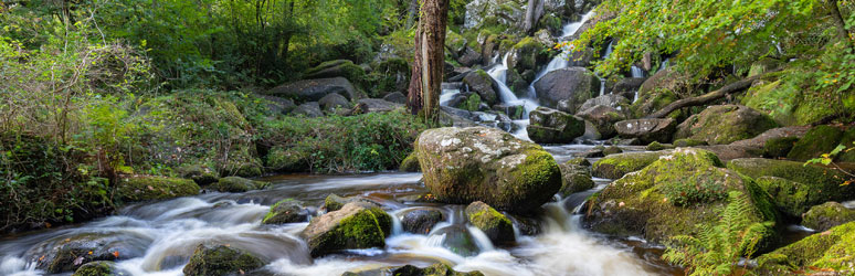 Becky Falls, Dartmoor