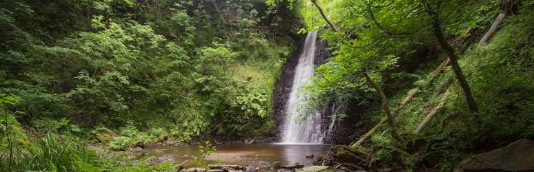 Falling Foss, Yorkshire