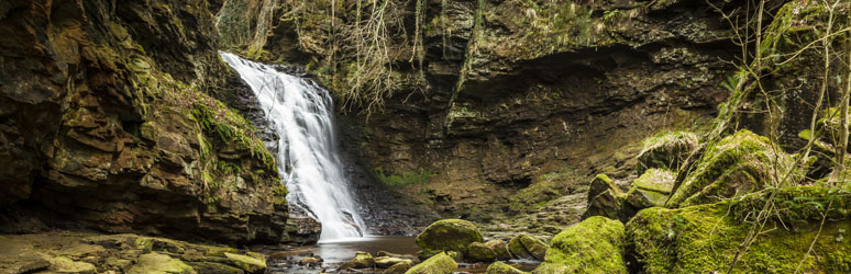 Hareshaw Linn, Northumberland