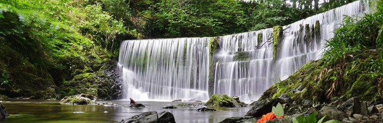 Stock Ghyll Force, Ambleside