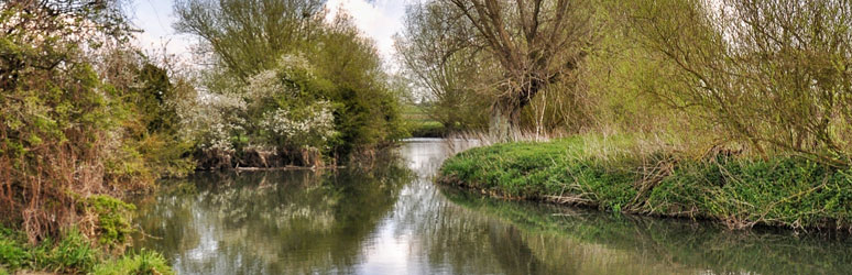 Granchester Meadows, Grantchester Cambridgeshire