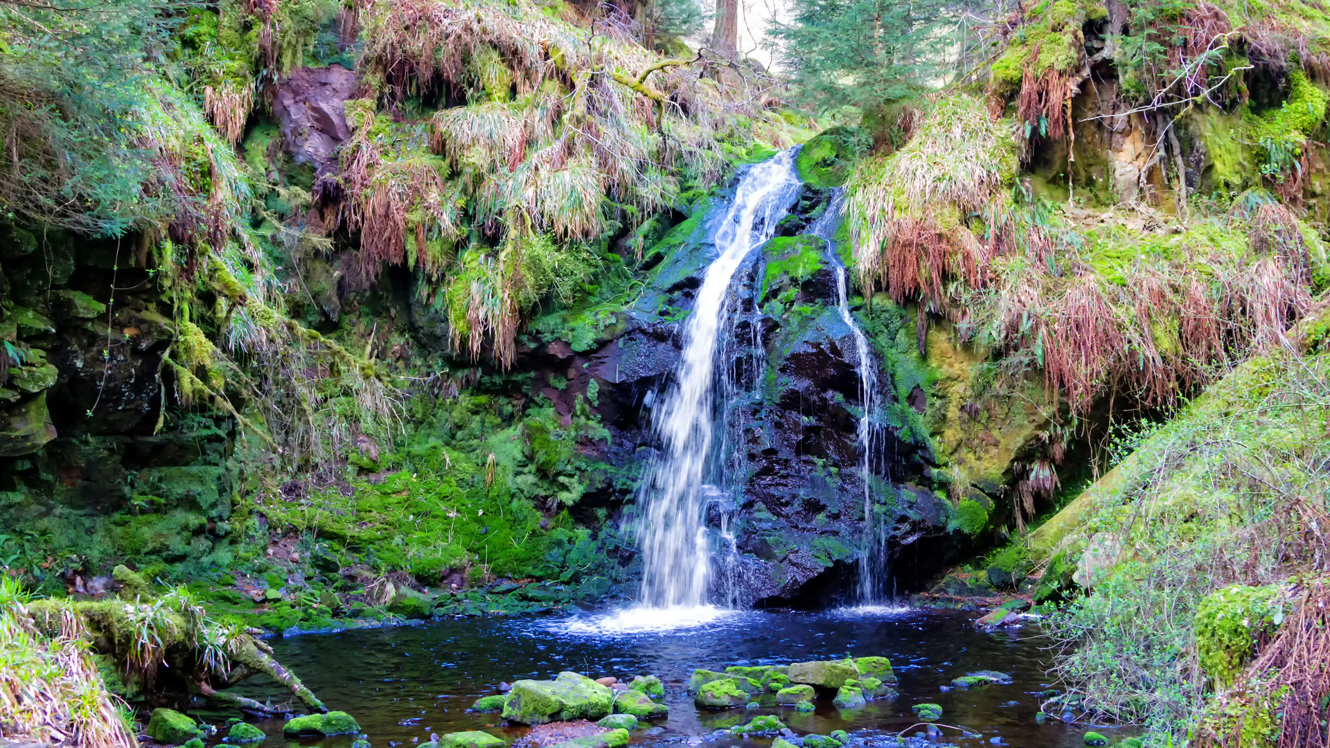 Linhope Spout