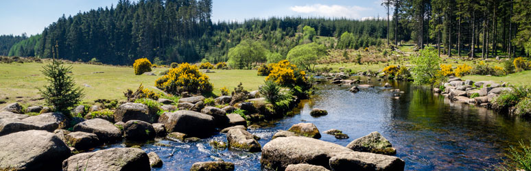 River Dart, Staverton, Devon