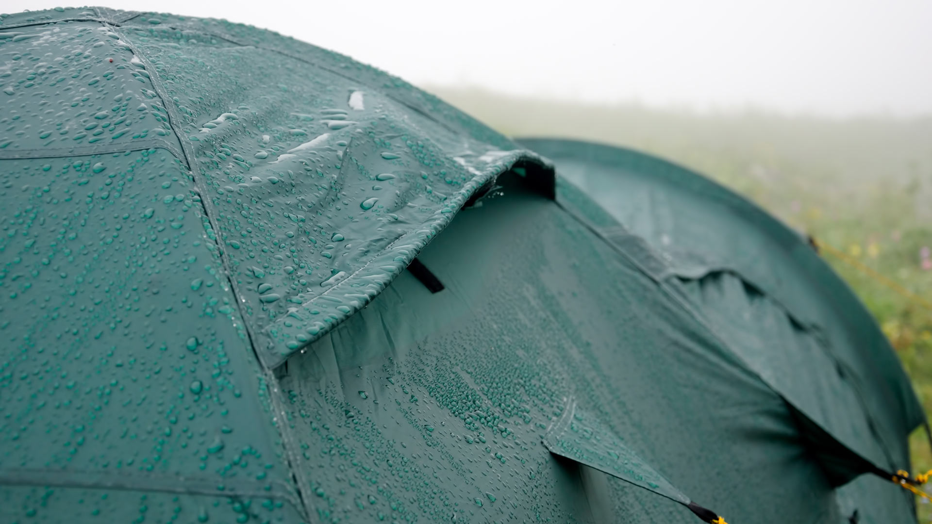 Green tent with rain droplets on it