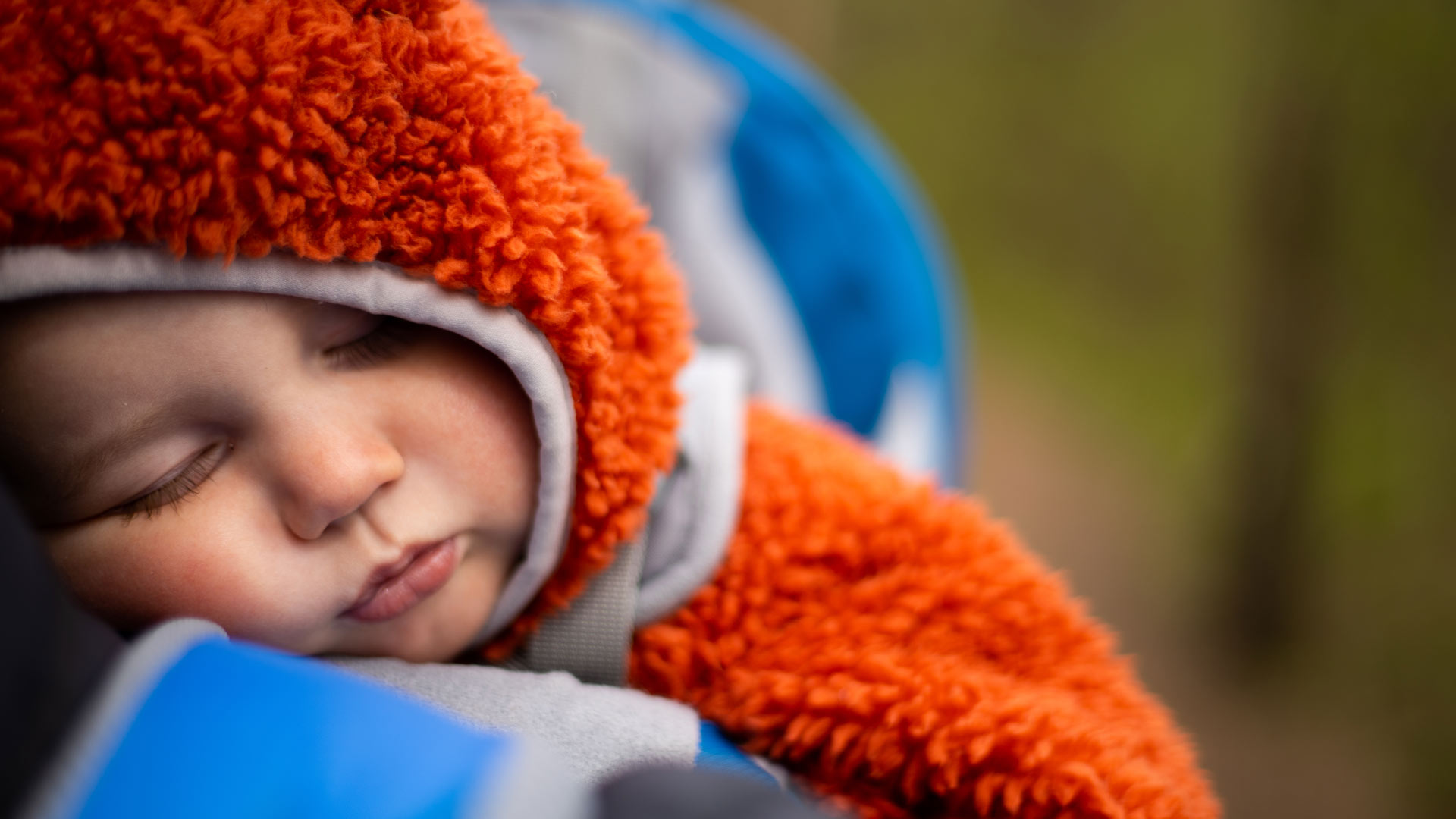 Baby asleep in carrier