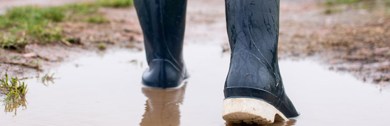 Wellies in puddle