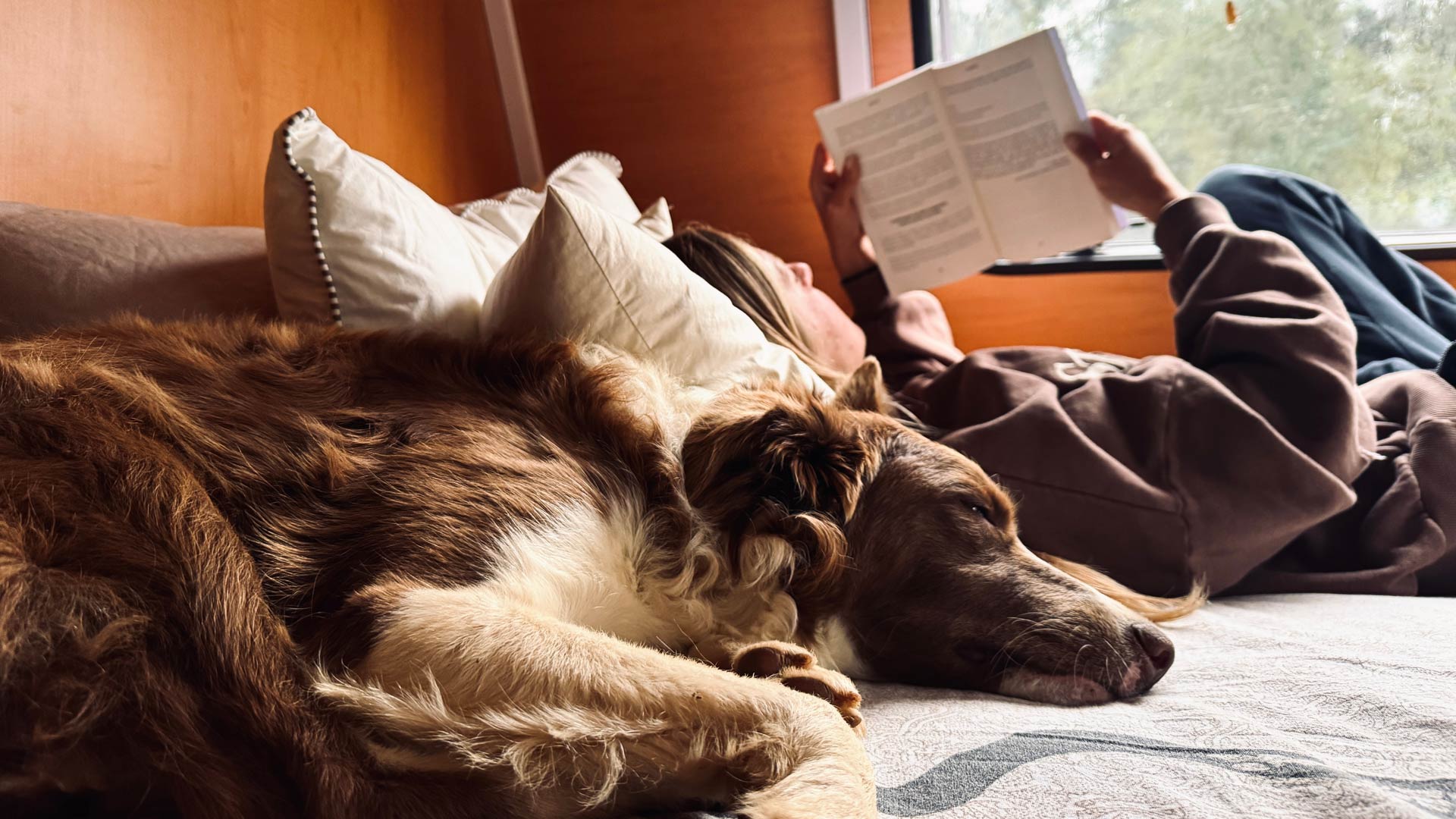Caravanning with a dog