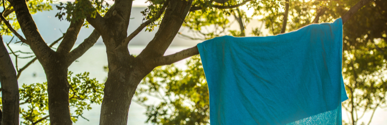 camping towel hanging over a tree branch in the sun