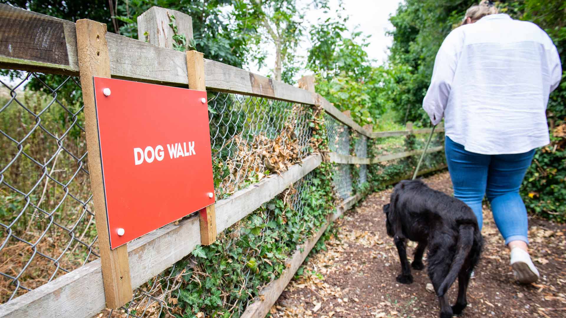 Designated Dog Walk