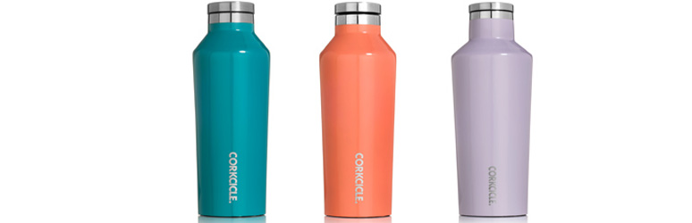 Corkcicle water bottle