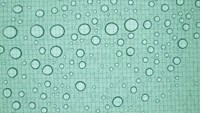 Nylon keeping the rain out