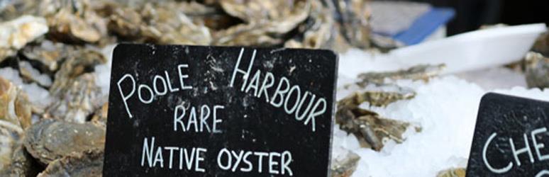 Falmouth Oyster Festival