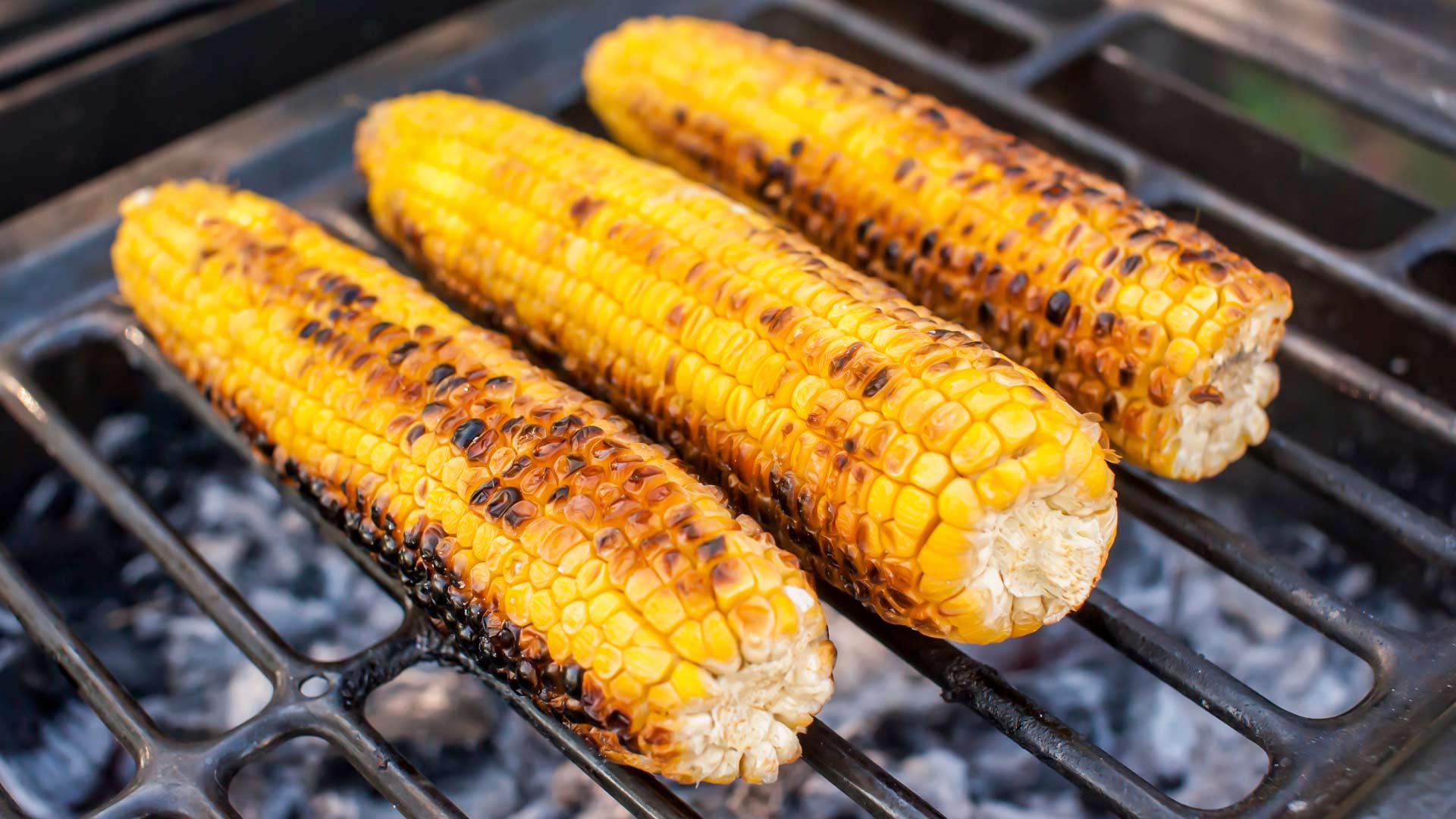 Grilled  corn on the cob