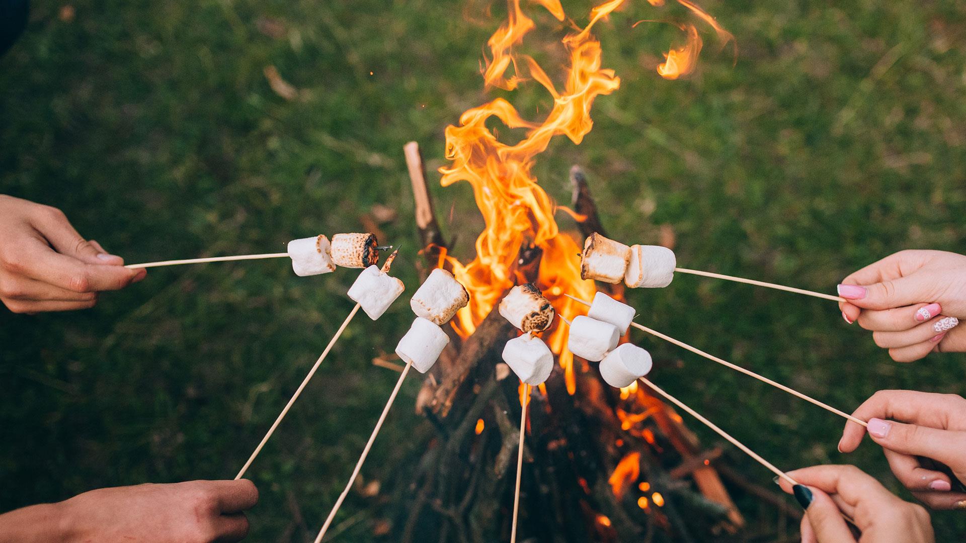 Toasted marshmallows