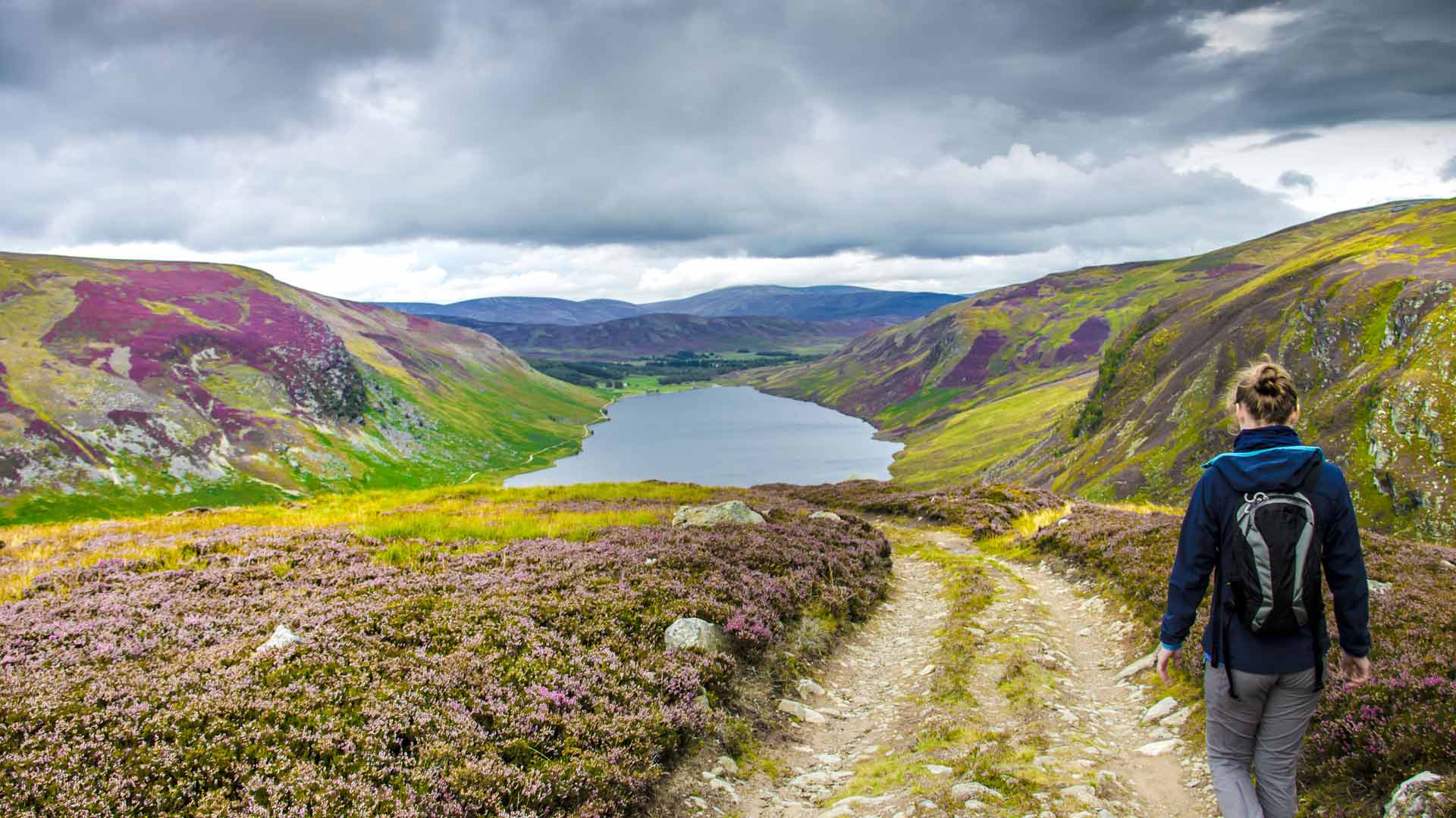 Cairngorms