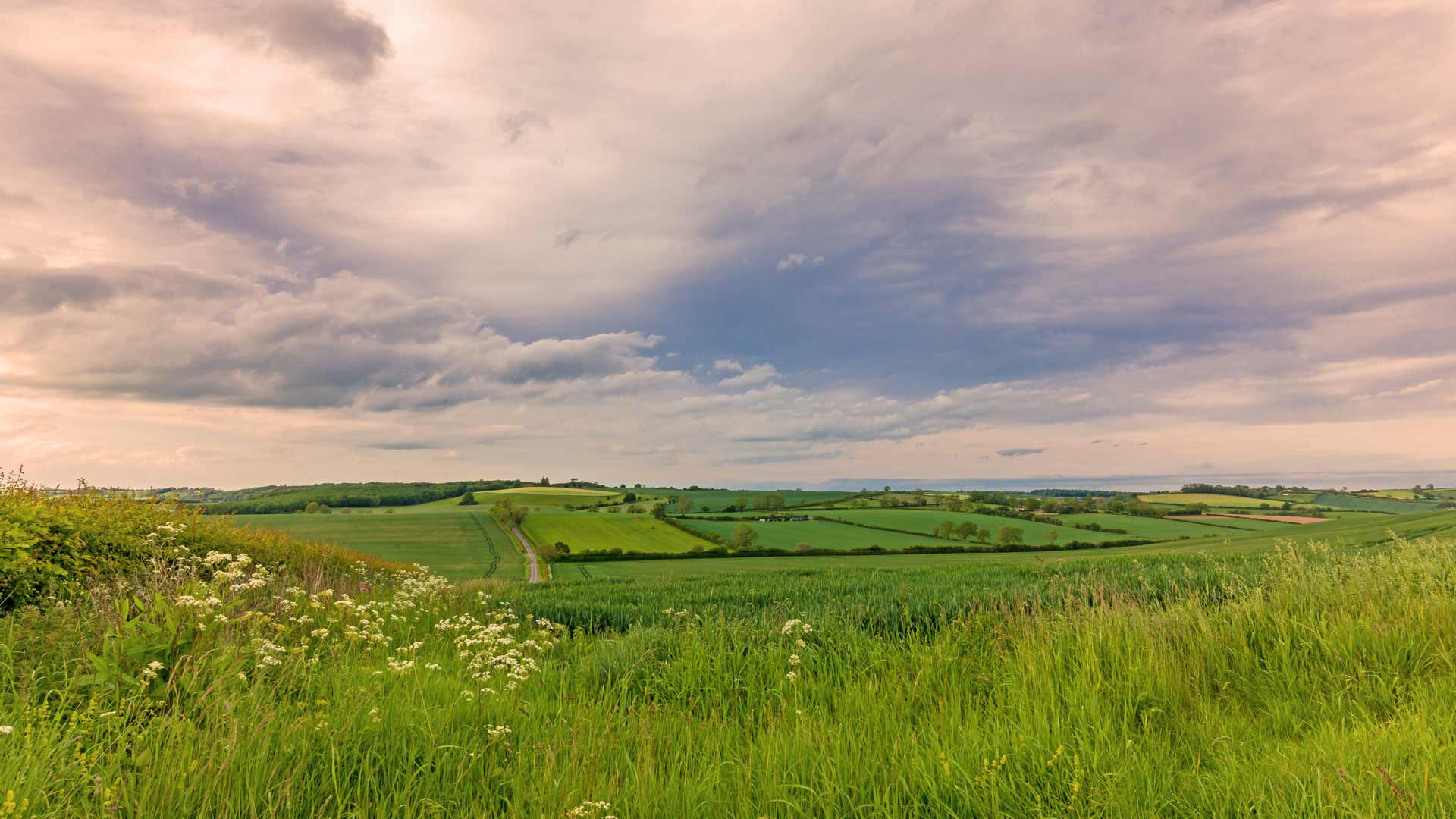 Howardian Hills