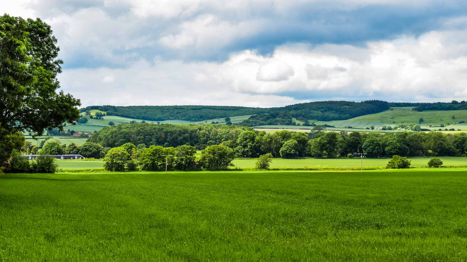 Kent Downs AONB