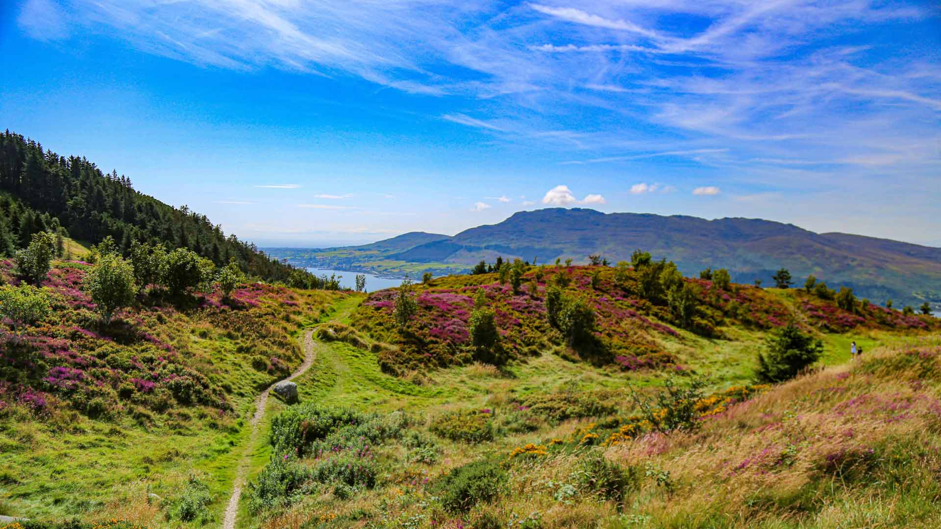 Mourne Mountains