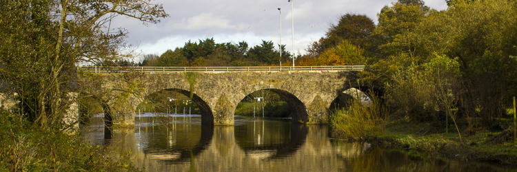 lagan valley landscape