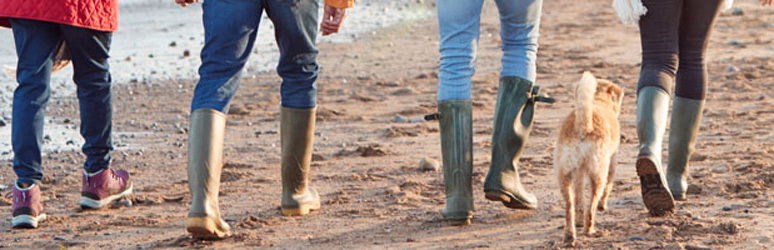 Family walking along the beach in wellingtons with dog.