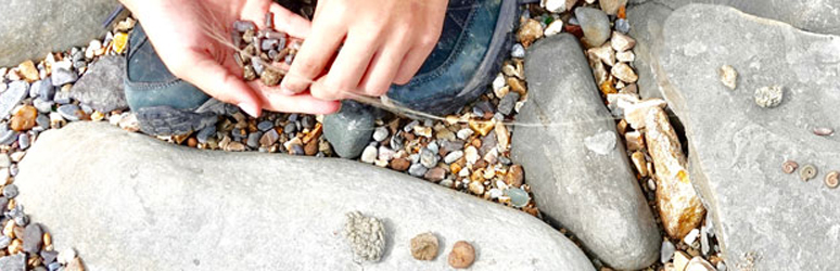 Fossil hunting on a beach