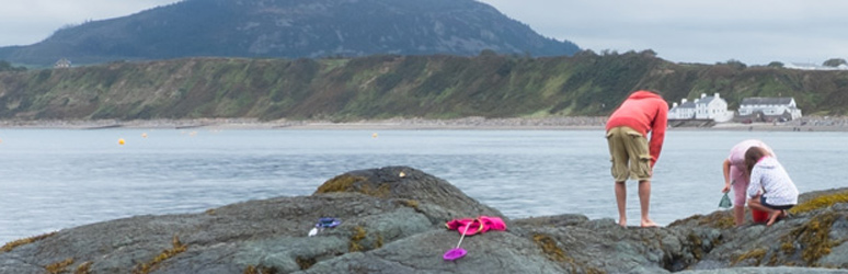 Family rockpooling on the UK coast