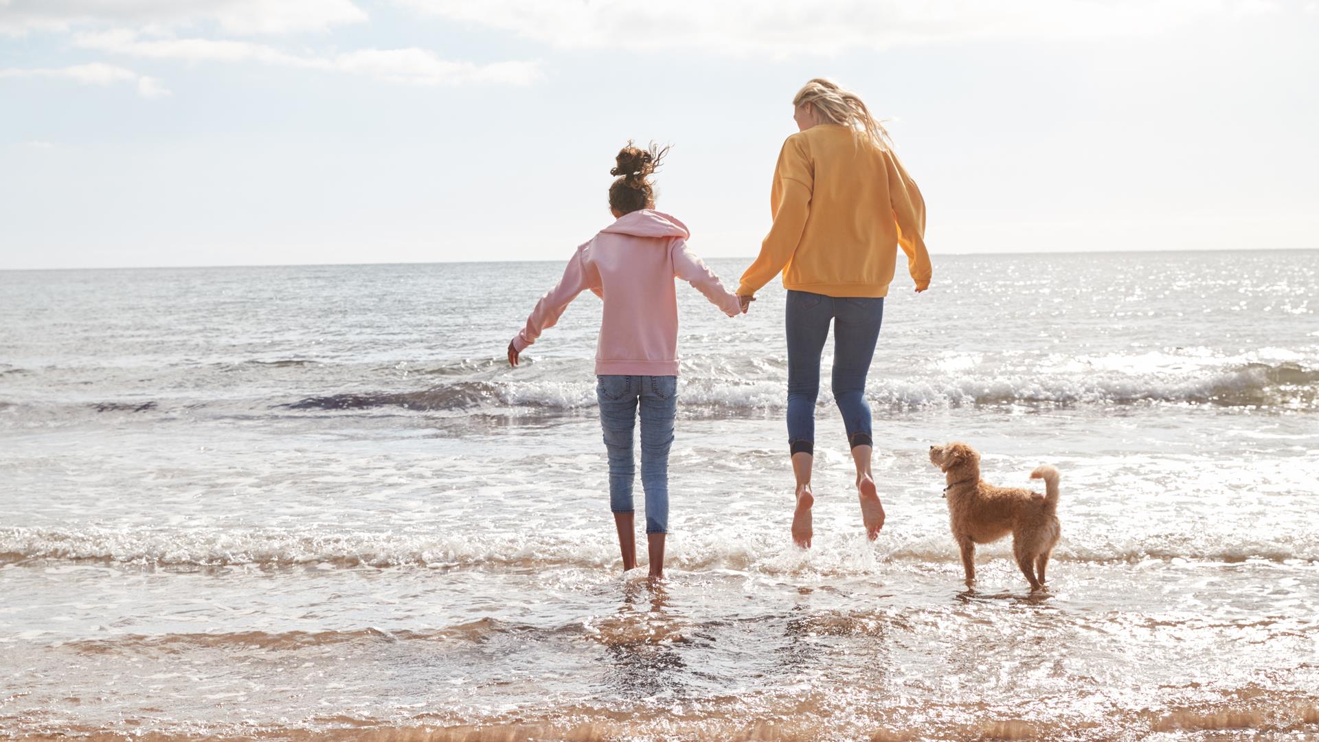 family and dog on beach