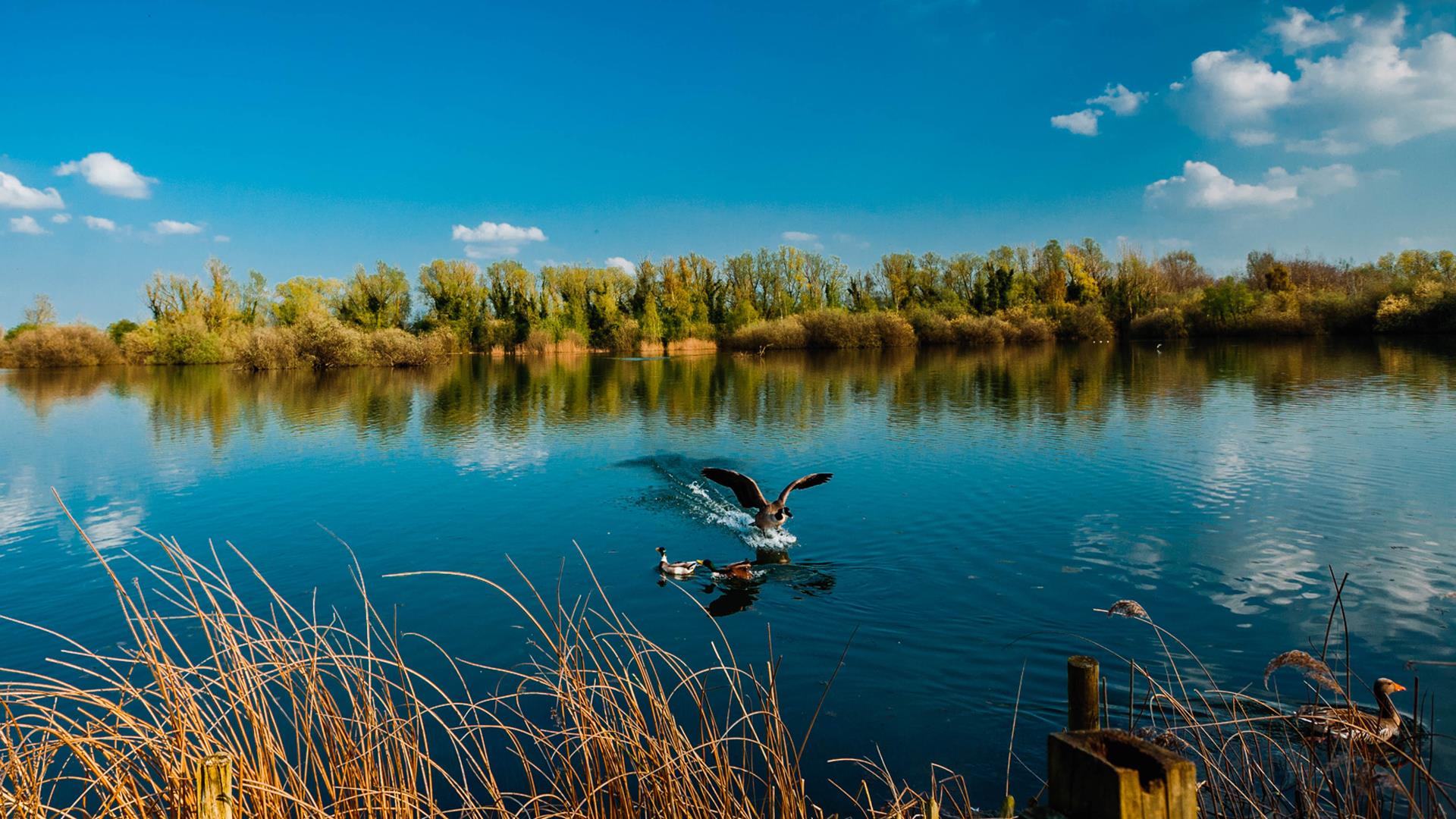Country park