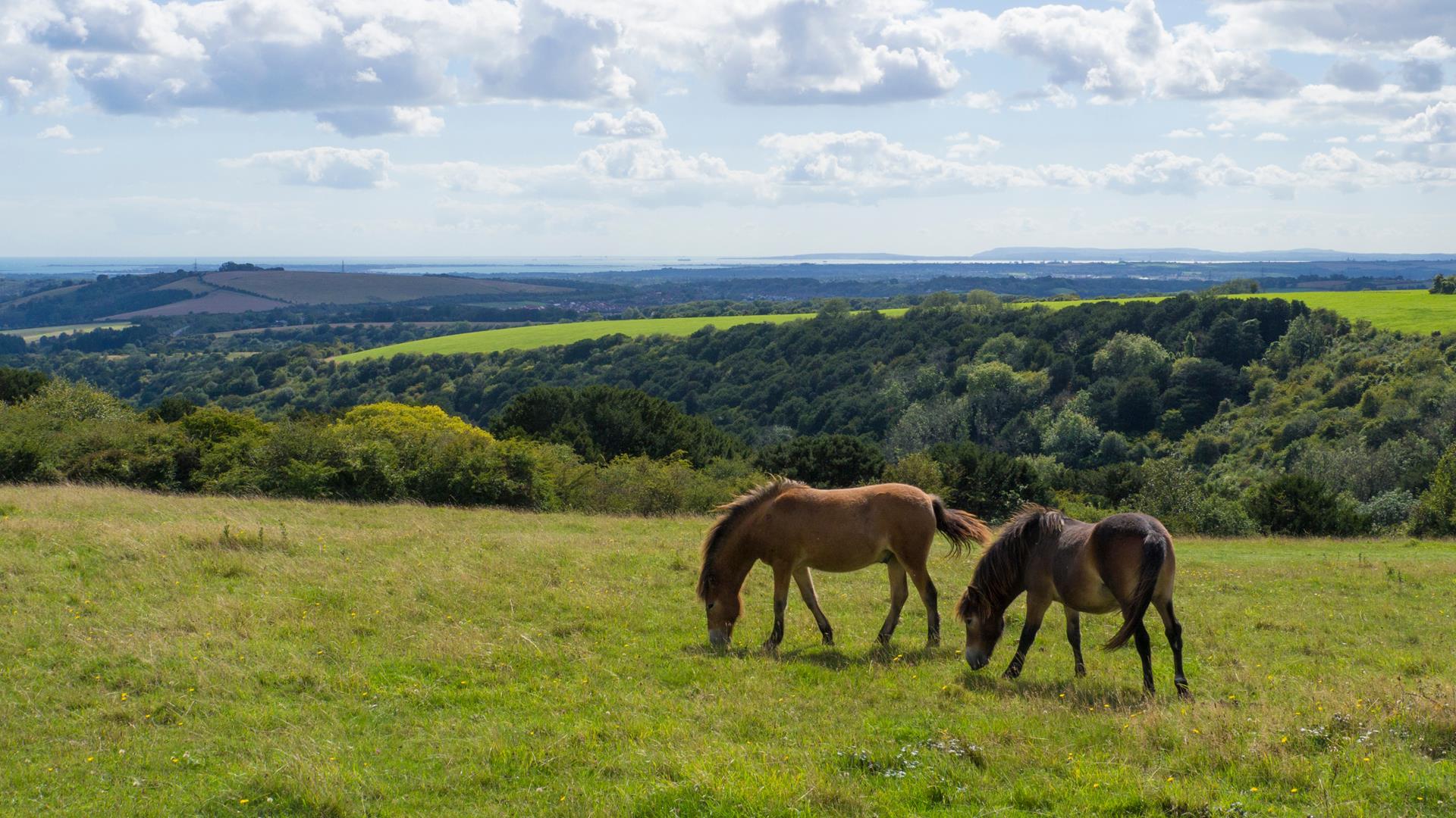 Country park