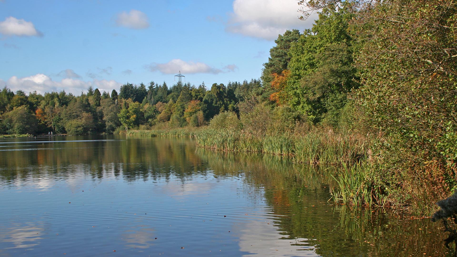 Country park