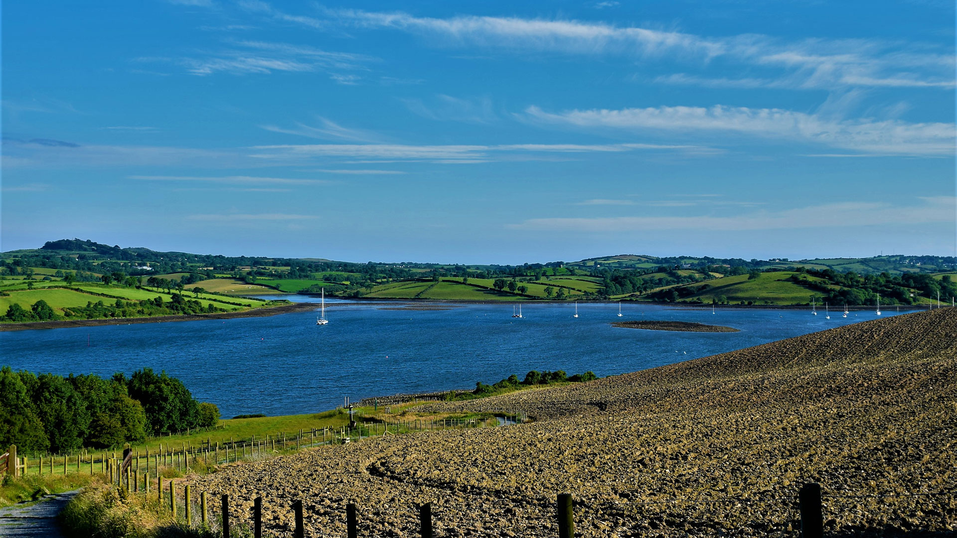 Strangford Lough