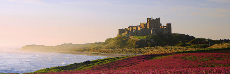 bamburgh landscape